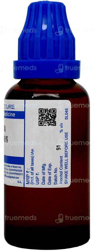 Sbl Blatta Orientalis Q Mother Tincture 30Ml